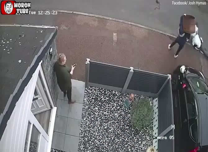 Video :Bully XL assaults the puppy after escaping the house (Warning - disturbing)